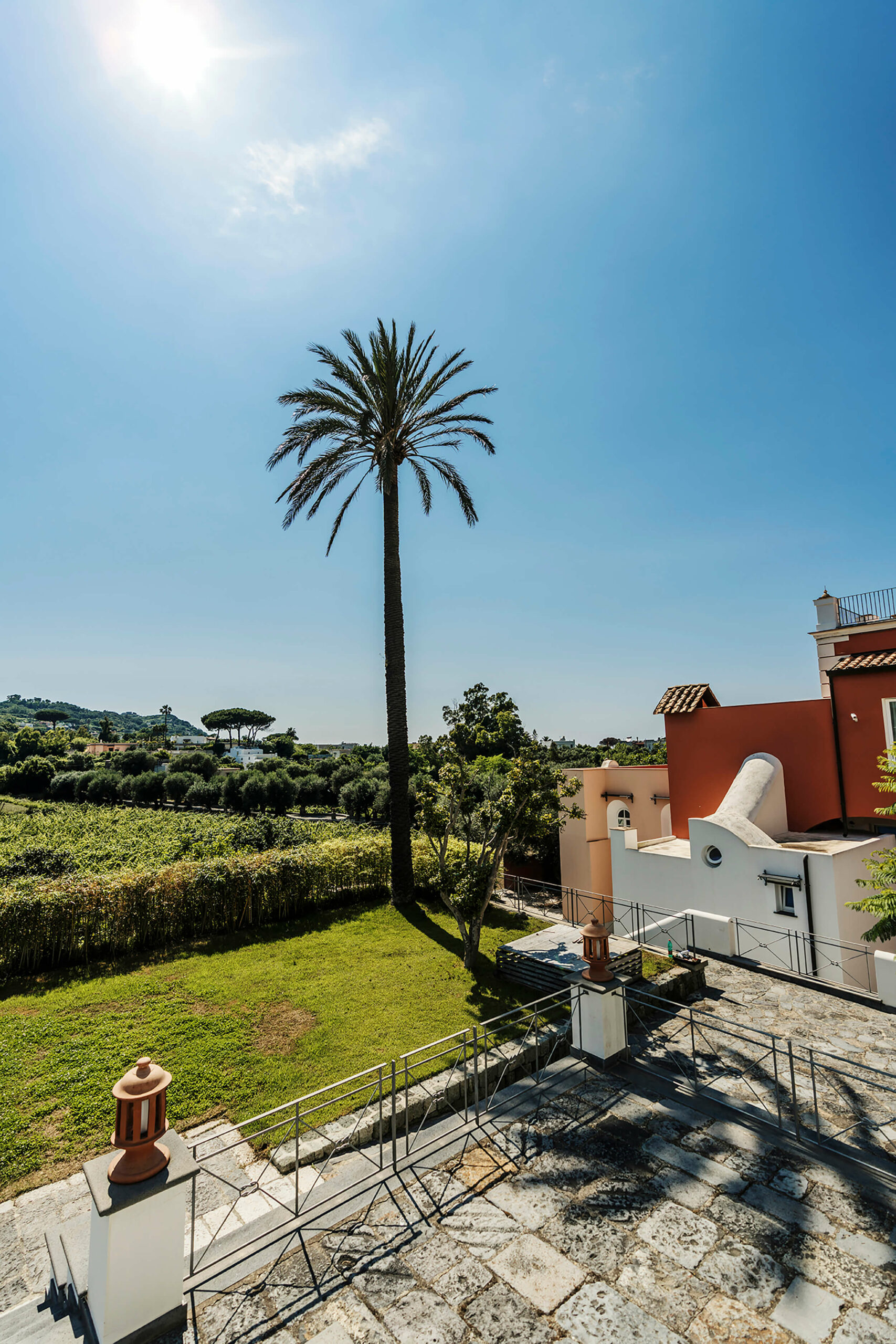 tenuta_calitto_forio_ischia_sunset