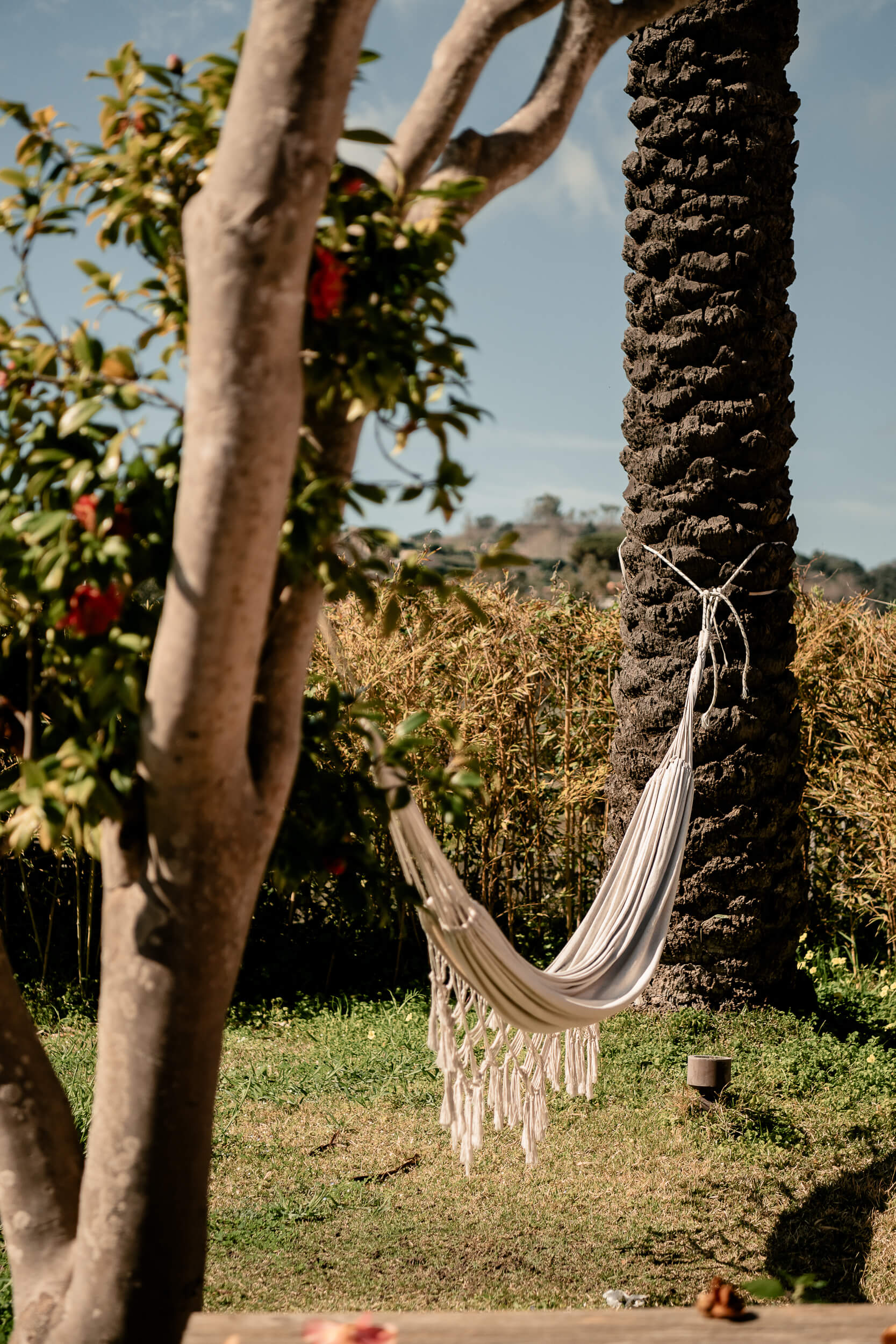 relax_day_calitto